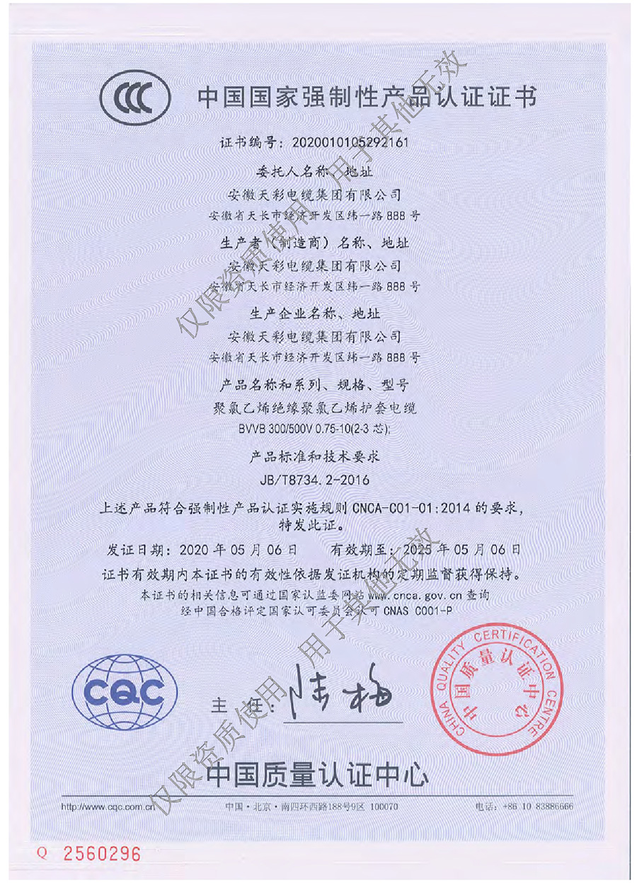安徽天彩电缆集团资质文件水印压缩版0010.jpg