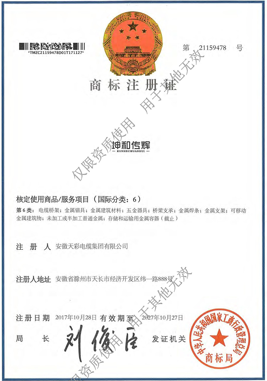 安徽天彩电缆集团资质文件水印压缩版0080.jpg