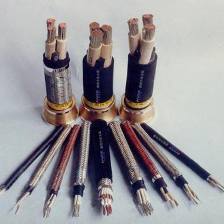 阻燃计算机屏蔽电缆 ZRC-DJYVP2-1*2*1.5