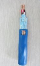 DJYPVP计算机电缆_IA-DJYP2VP2本安型计算机电缆